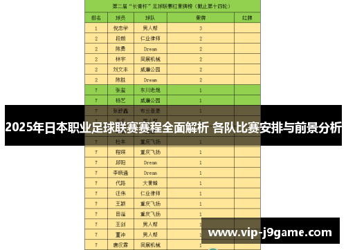 2025年日本职业足球联赛赛程全面解析 各队比赛安排与前景分析 2025年日本职业足球联赛赛程全面解析 各队比赛安排与前景分析