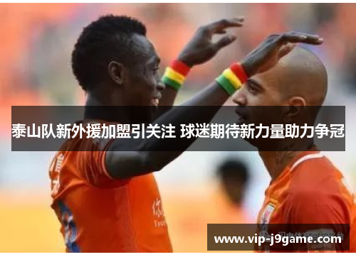 泰山队新外援加盟引关注 球迷期待新力量助力争冠 泰山队新外援加盟引关注 球迷期待新力量助力争冠