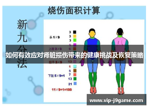 如何有效应对肾脏损伤带来的健康挑战及恢复策略 如何有效应对肾脏损伤带来的健康挑战及恢复策略