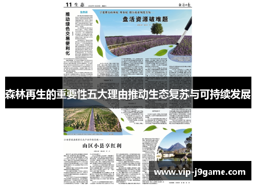 森林再生的重要性五大理由推动生态复苏与可持续发展